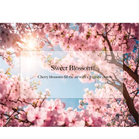 About Car Air Freshener | 24 Count (Pack of 1) | Sweet Blossom - Picture 3 of 6